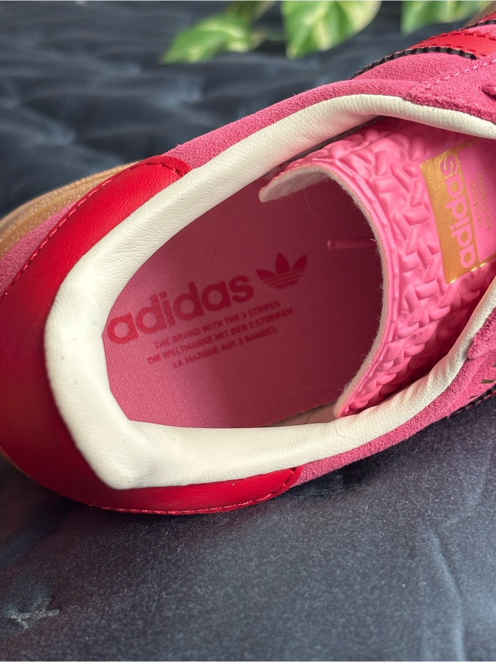 🆕 adidas| Women’s Adidas Gazelle Bold Rose Tone Scarlet New 7.5W/6Y JQ74074 - Picture 5 of 10
